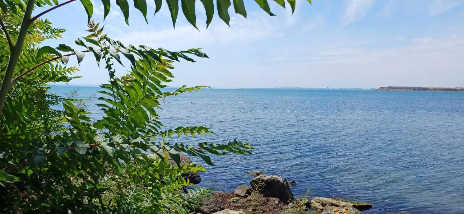 Blu Bey Pomorie Apartment